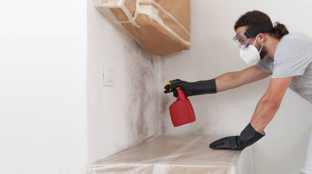 Professional Black Mold Remediation technician working in Allensville, PA