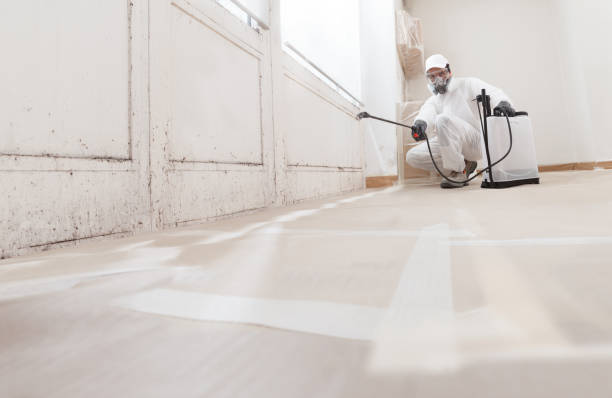 24/7 Emergency Black Mold Remediation experts in Allensville, PA